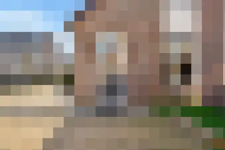 Duivenkamp 290 Maarssen thumbnail 32