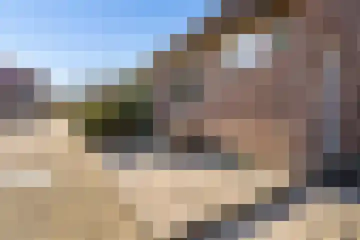 Duivenkamp 290 Maarssen thumbnail 34