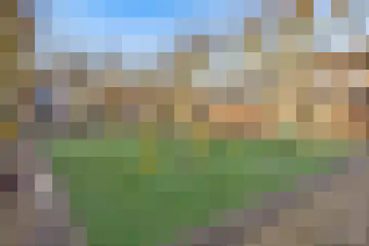Duivenkamp 290 Maarssen thumbnail 38