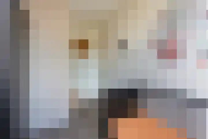 Duivenkamp 369 Maarssen thumbnail 24