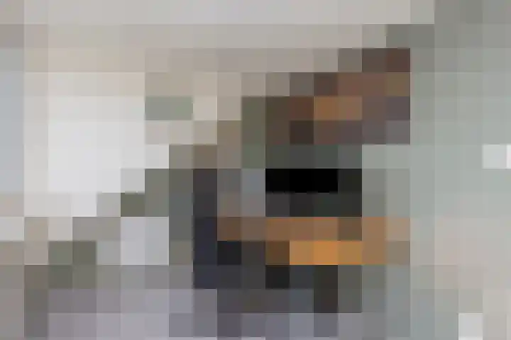 Duivenkamp 369 Maarssen thumbnail 25