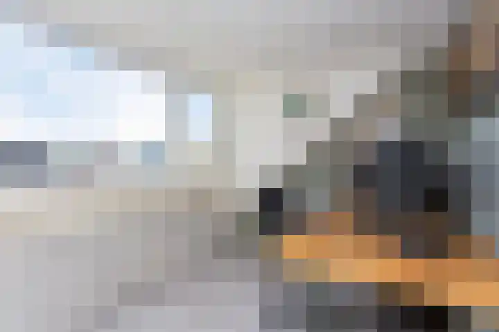 Duivenkamp 369 Maarssen thumbnail 26