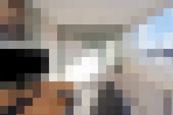 Duivenkamp 369 Maarssen thumbnail 27
