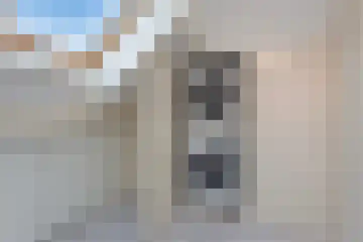 Duivenkamp 369 Maarssen thumbnail 30