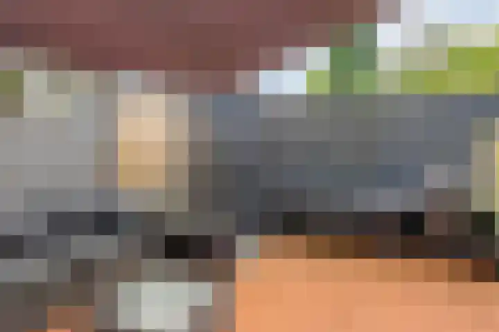 Duivenkamp 369 Maarssen thumbnail 32
