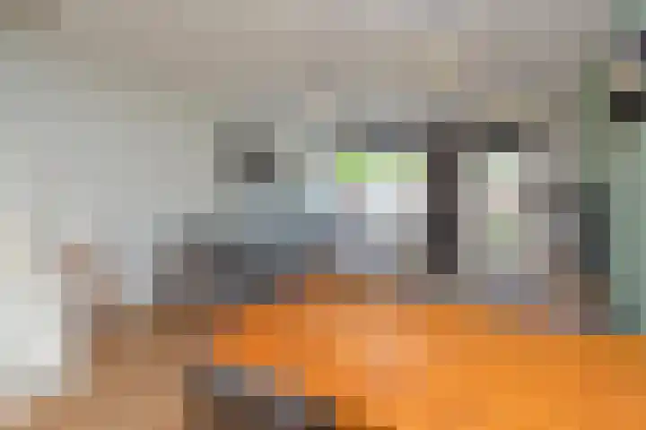 Duivenkamp 369 Maarssen thumbnail 4