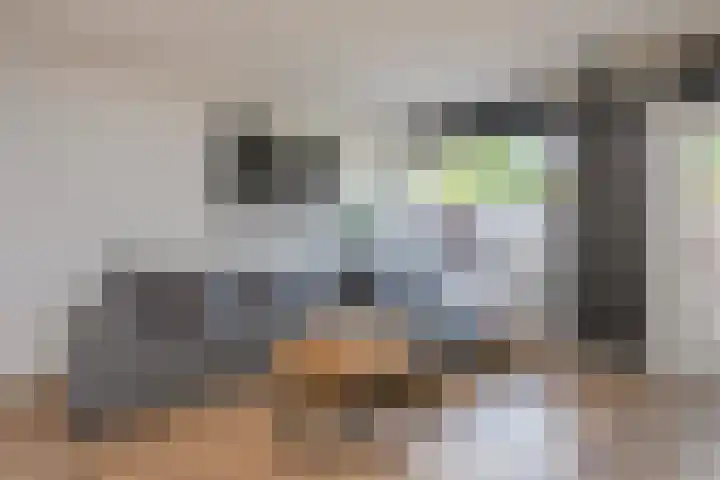 Duivenkamp 369 Maarssen thumbnail 5