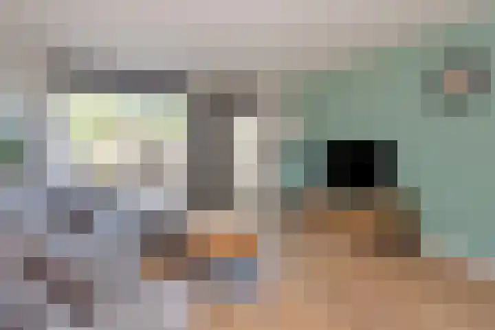 Duivenkamp 369 Maarssen thumbnail 6