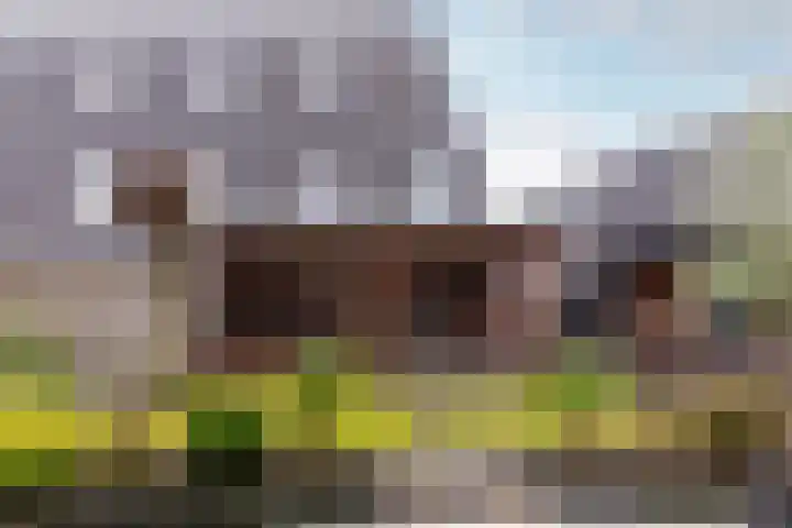 Duivenkamp 43 Harderwijk thumbnail 35