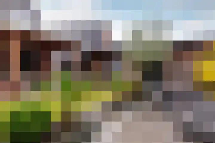 Duivenkamp 43 Harderwijk thumbnail 37