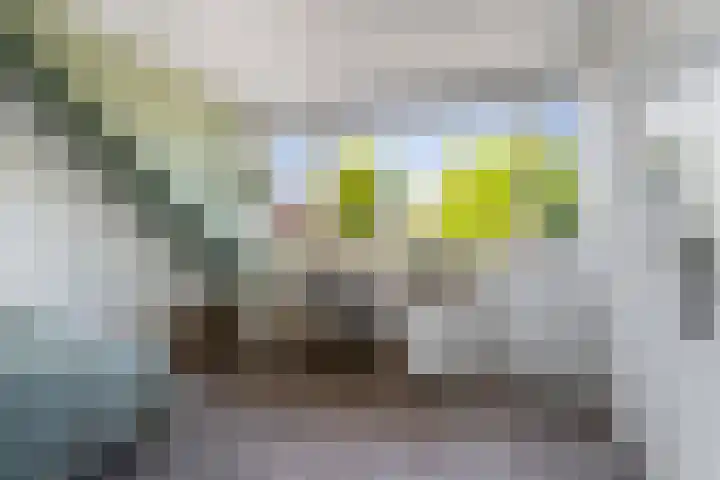Duivenkamp 438 Maarssen thumbnail 19