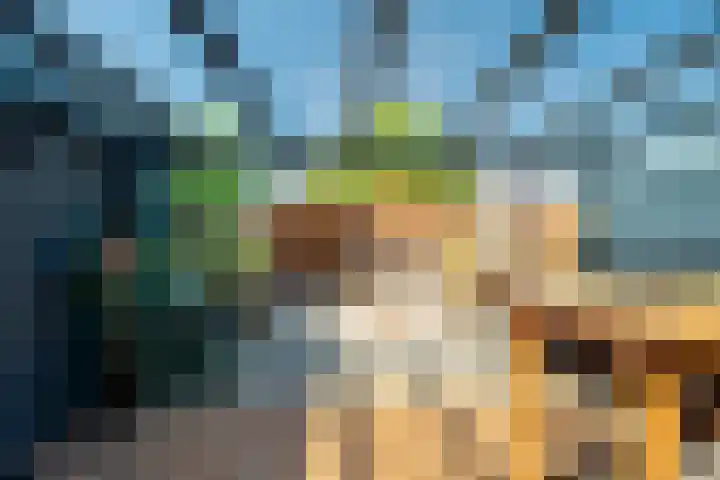 Duivenkamp 438 Maarssen thumbnail 33