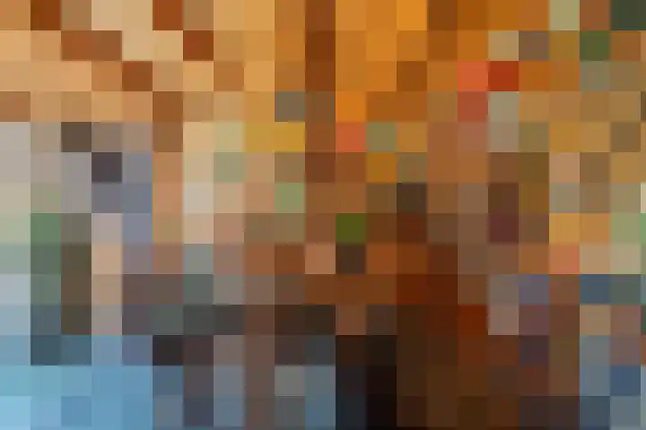 Duivenkamp 438 Maarssen thumbnail 39
