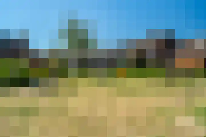 Duivenkamp 438 Maarssen thumbnail 45