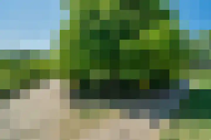 Duivenkamp 438 Maarssen thumbnail 46