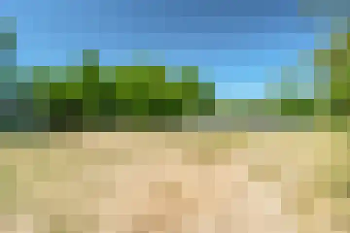 Duivenkamp 438 Maarssen thumbnail 47