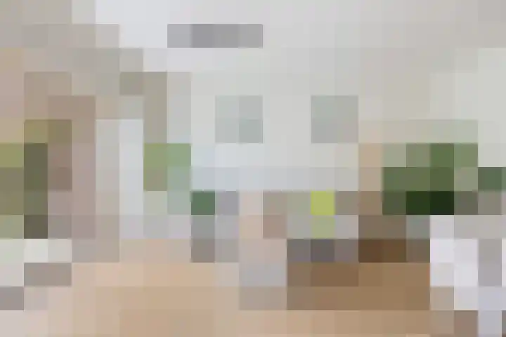 Duivenkamp 55 Maarssen thumbnail 12