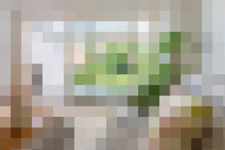 Duivenkamp 55 Maarssen thumbnail 13