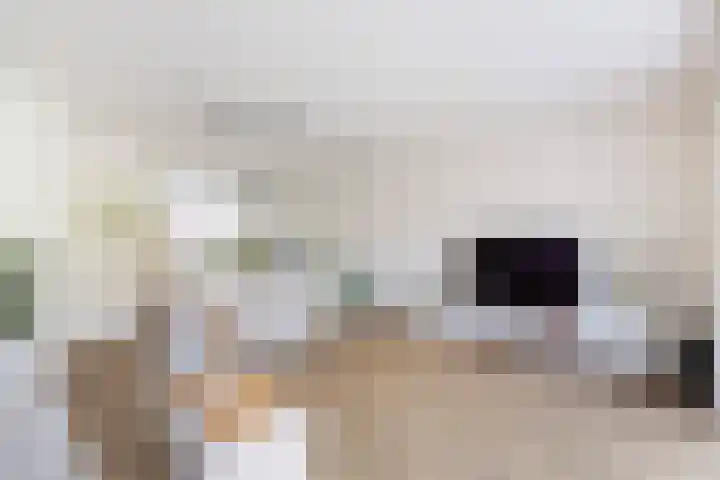 Duivenkamp 55 Maarssen thumbnail 15