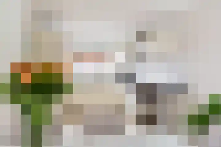Duivenkamp 55 Maarssen thumbnail 17
