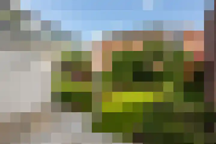 Duivenkamp 55 Maarssen thumbnail 30