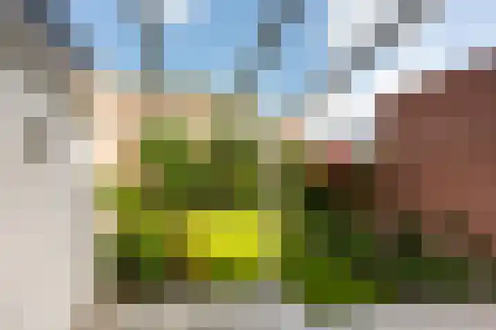 Duivenkamp 55 Maarssen thumbnail 31
