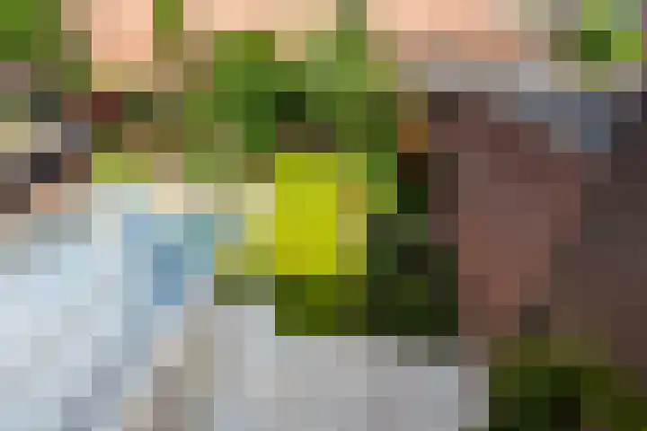 Duivenkamp 55 Maarssen thumbnail 32