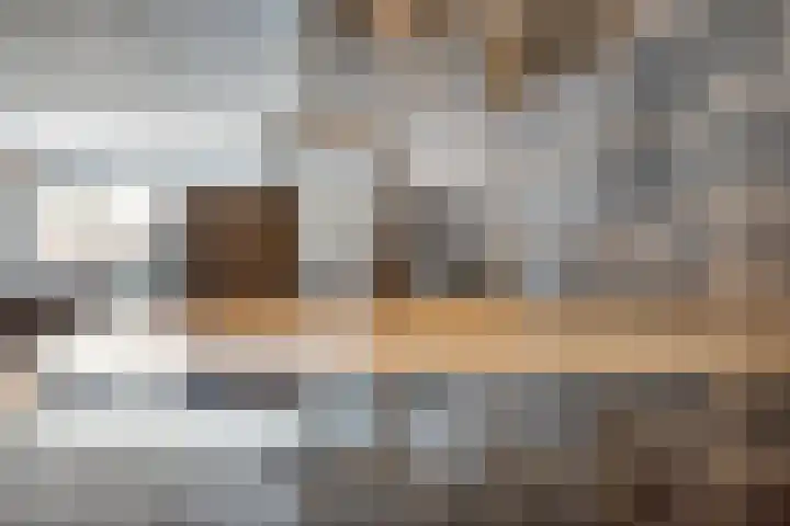Duivenkamp 56 Maarssen thumbnail 17
