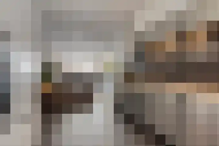 Duivenkamp 56 Maarssen thumbnail 18