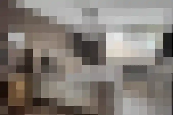 Duivenkamp 56 Maarssen thumbnail 22