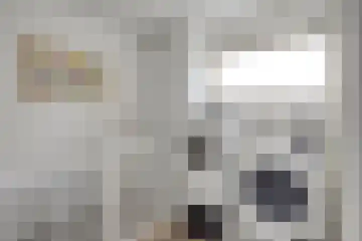 Duivenkamp 56 Maarssen thumbnail 27