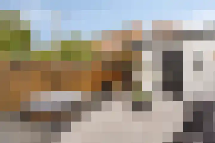 Duivenkamp 56 Maarssen thumbnail 33