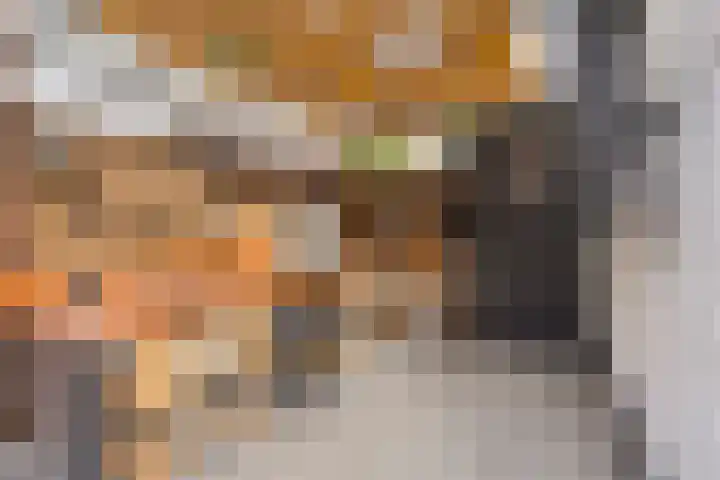 Duivenkamp 56 Maarssen thumbnail 34