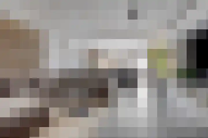 Duivenkamp 56 Maarssen thumbnail 8