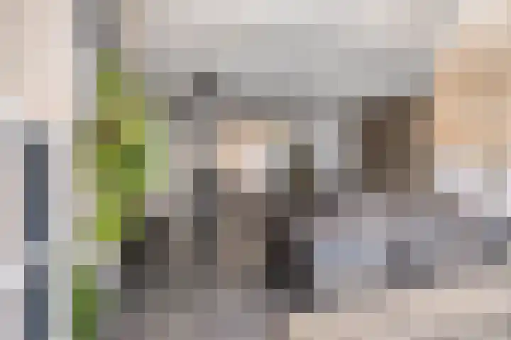 Duivenkamp 56 Maarssen thumbnail 9