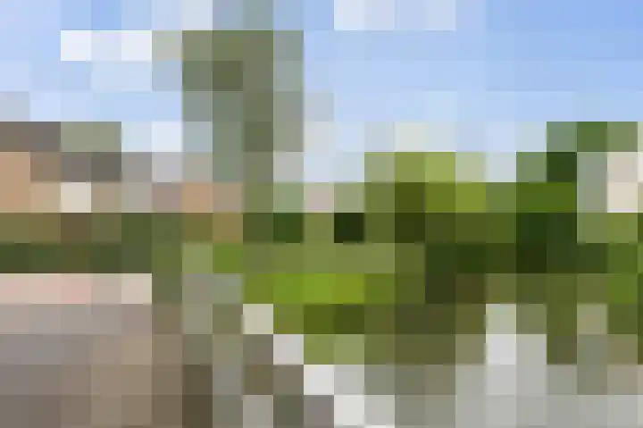 Duivenkamp 564 Maarssen thumbnail 32