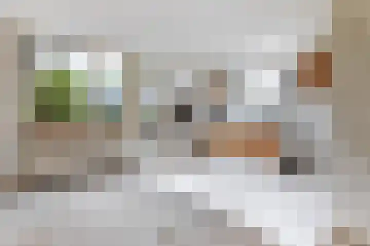 Duivenkamp 564 Maarssen thumbnail 5
