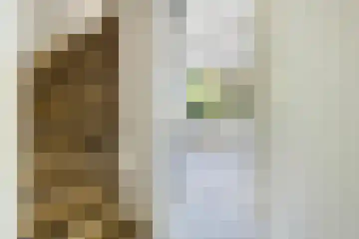 Duivenkamp 572 Maarssen thumbnail 11