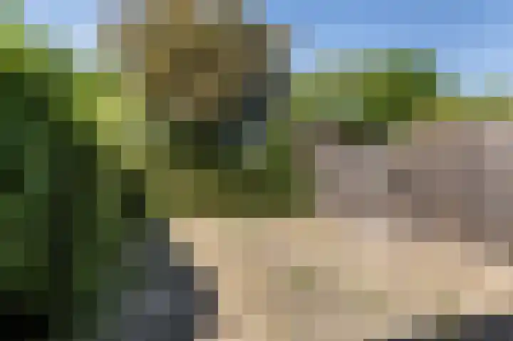 Duivenkamp 572 Maarssen thumbnail 23