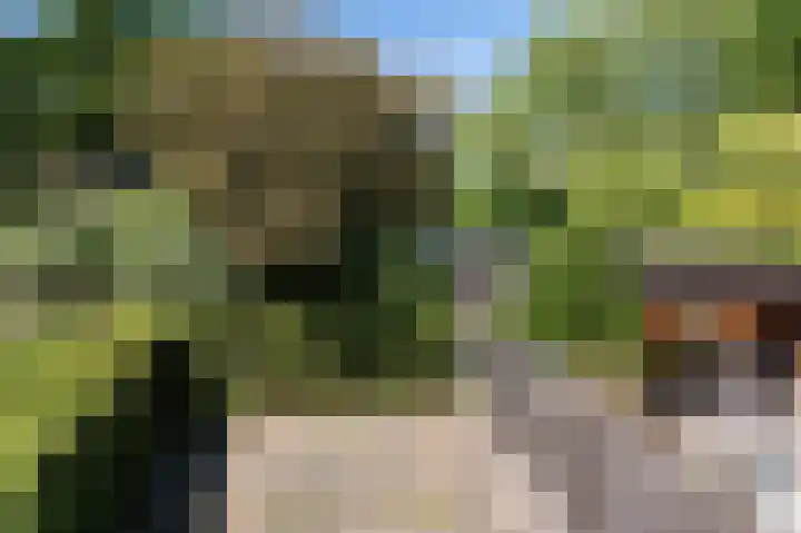 Duivenkamp 572 Maarssen thumbnail 24