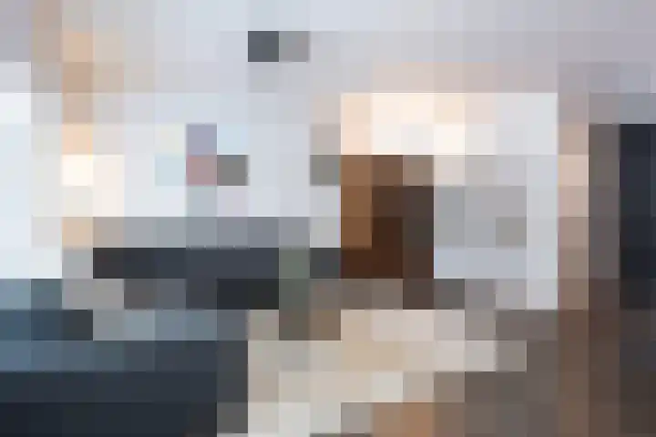 Duivenkamp 77 Maarssen thumbnail 12