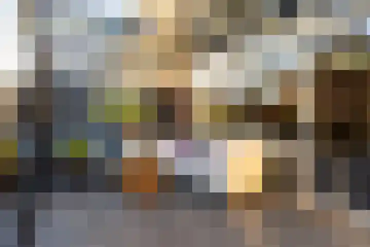 Duivenkamp 77 Maarssen thumbnail 24