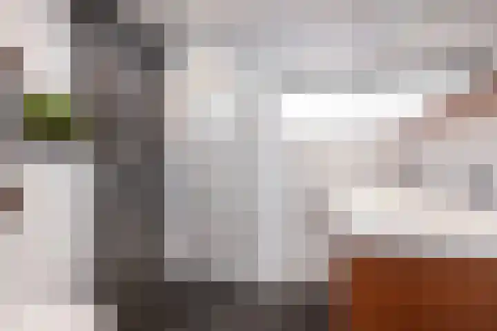 Duivenkamp 77 Maarssen thumbnail 25