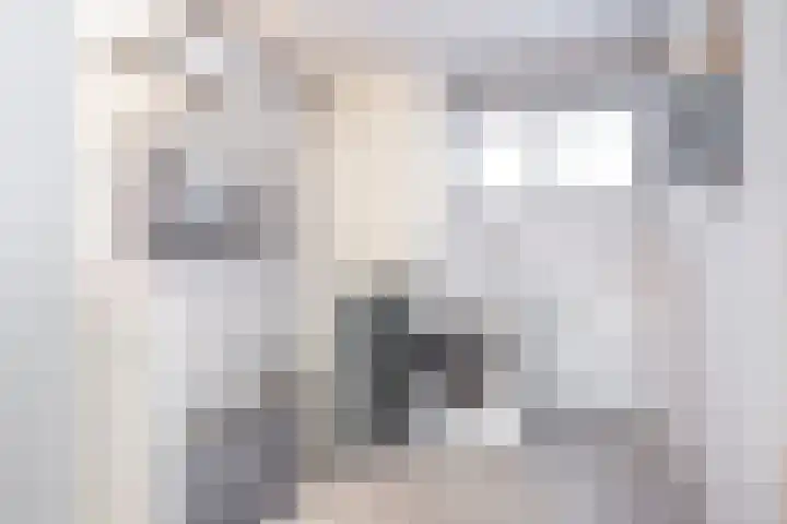 Duivenkamp 77 Maarssen thumbnail 38