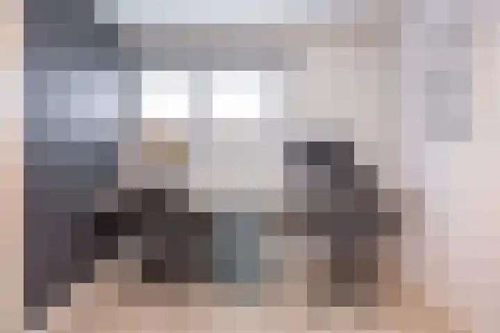 Duivenkamp 77 Maarssen thumbnail 43