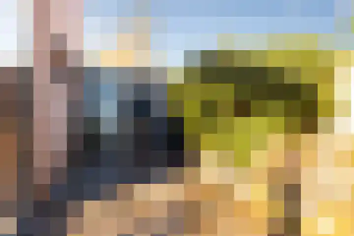 Duivenkamp 77 Maarssen thumbnail 46