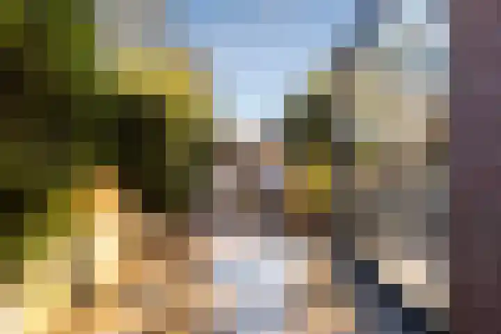 Duivenkamp 77 Maarssen thumbnail 47