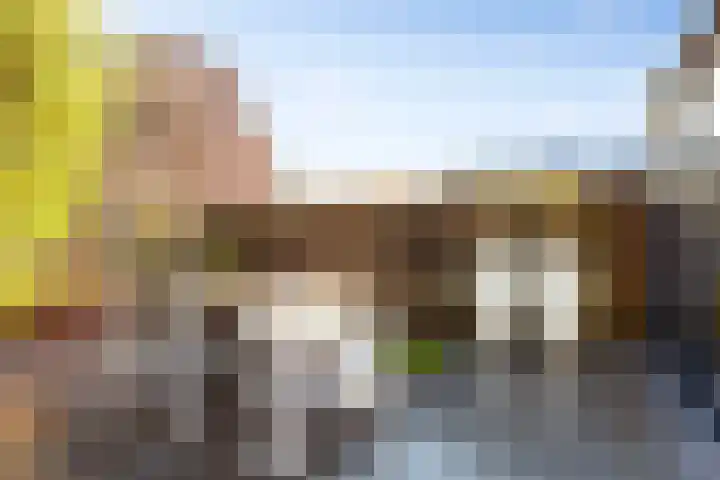 Duivenkamp 77 Maarssen thumbnail 49
