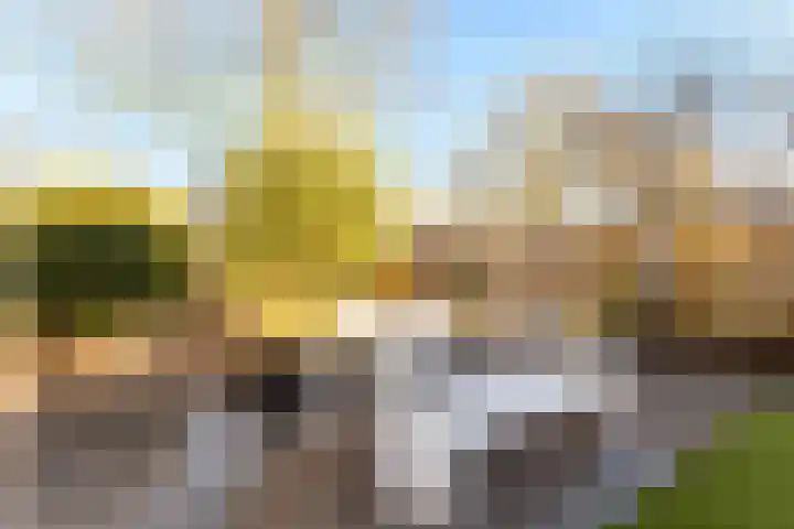 Duivenkamp 77 Maarssen thumbnail 50
