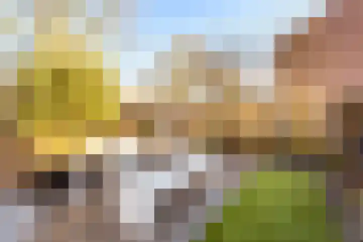 Duivenkamp 77 Maarssen thumbnail 51